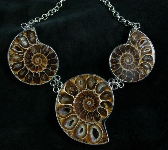 Triple Ammonite Necklace - Million Years Old #7905